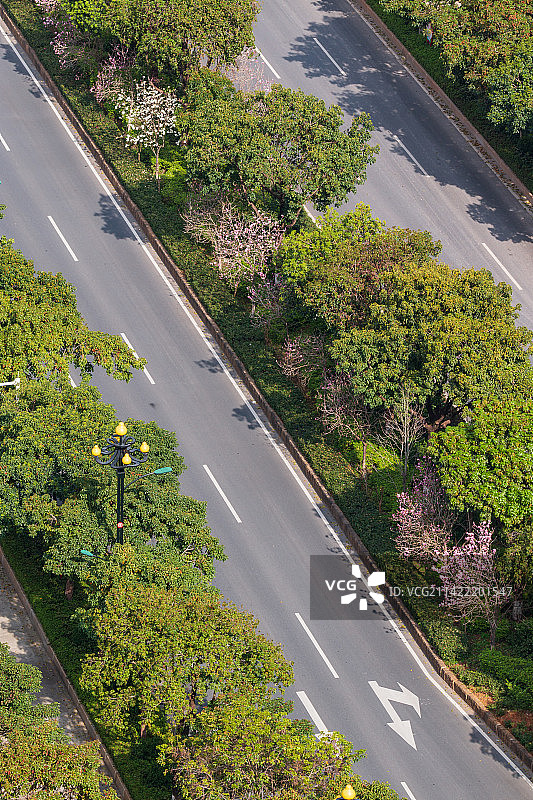 城市道路和旁边的绿化带图片素材