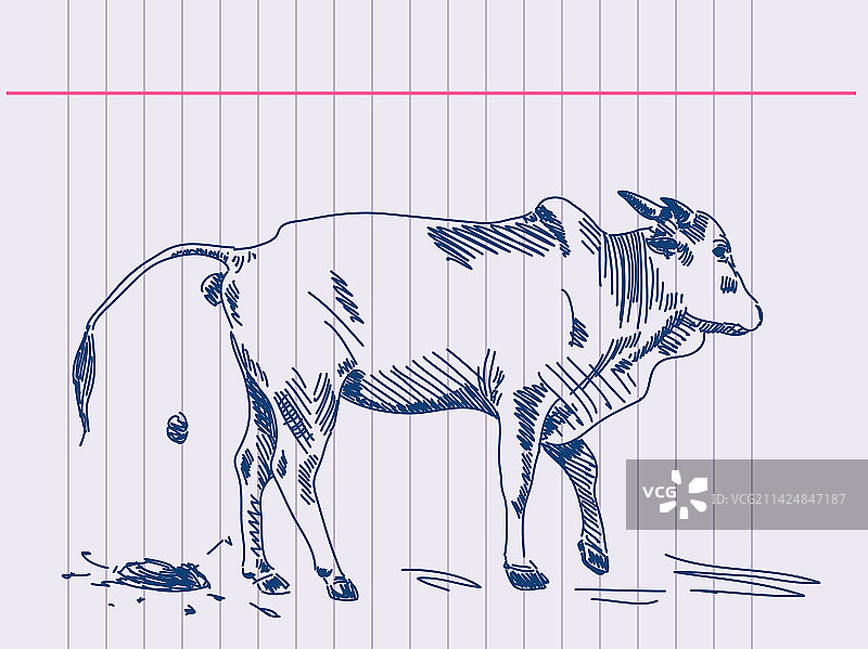 手绘zebu牛在行动图片素材