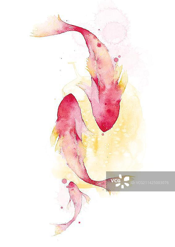 水彩风格唯美海洋鱼群背景插画图片素材