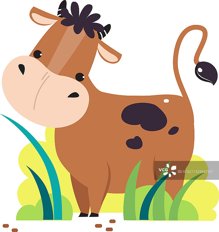 可爱的奶牛在牧场吃草，可爱的农场动物图片素材
