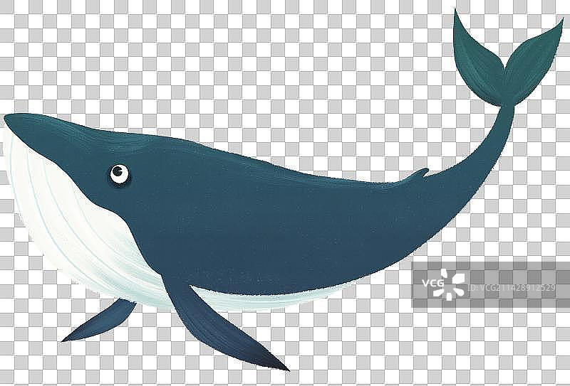 鲸鱼卡通动物元素图片素材
