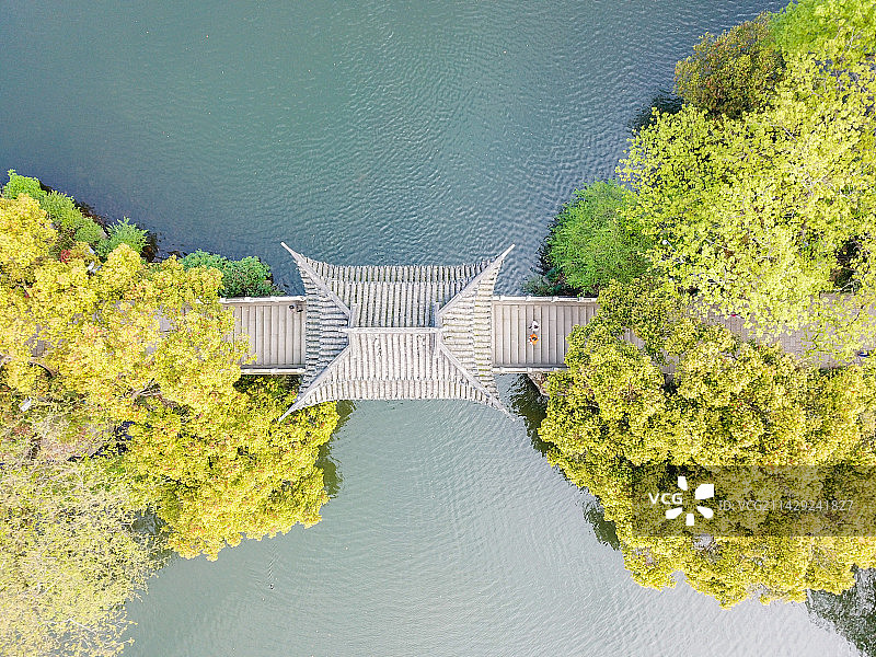 杭州西湖曲院风荷印象西湖 玉带桥图片素材