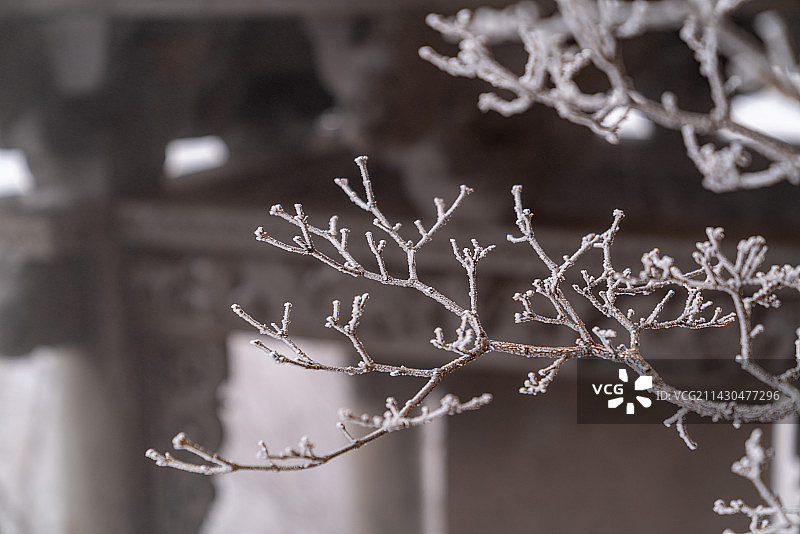 冰雪天古建筑桃花树枝图片素材