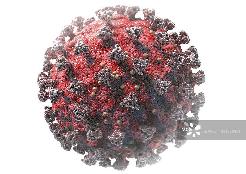 Covid-19冠状病毒颗粒，插图图片素材
