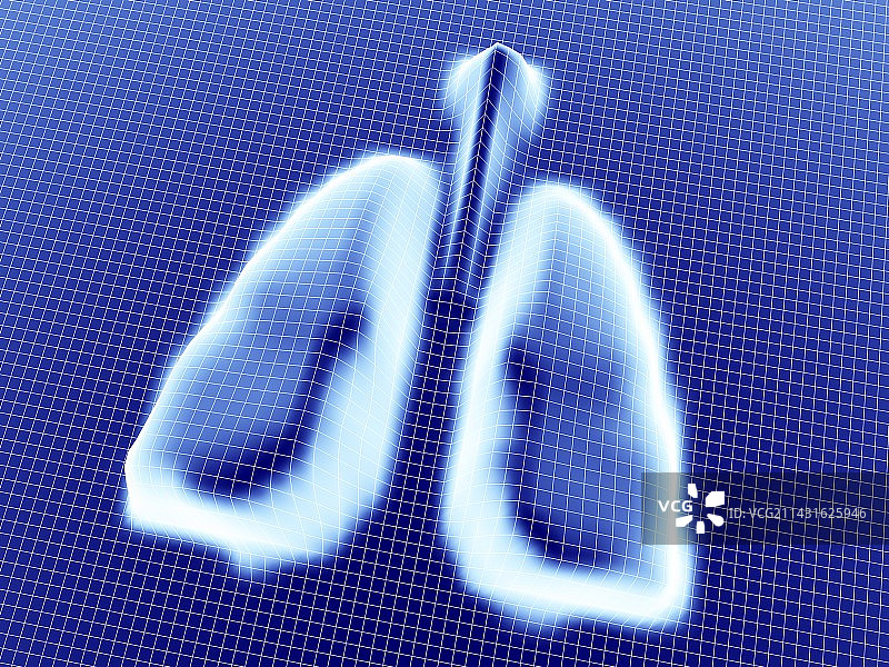 肺图片素材