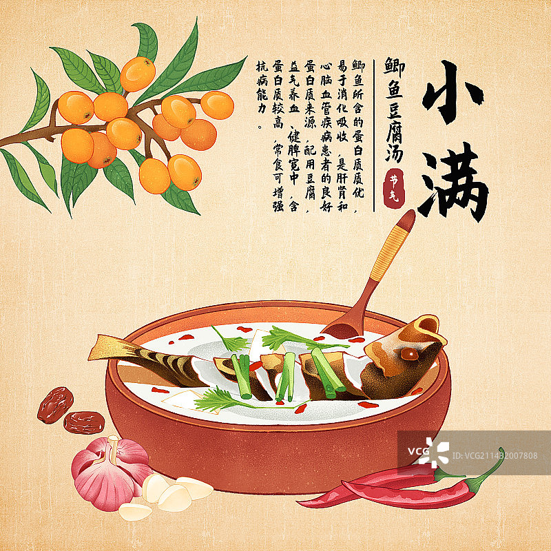二十四节气之小满美食枇杷鲫鱼豆腐汤插画海报图片素材