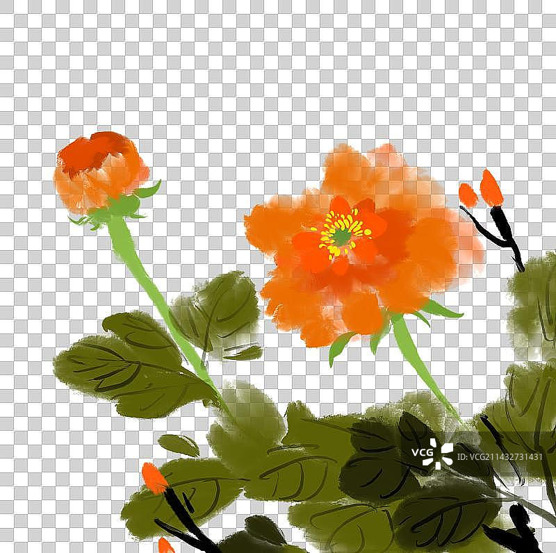 水彩画笔触春天牡丹花设计元素图片素材