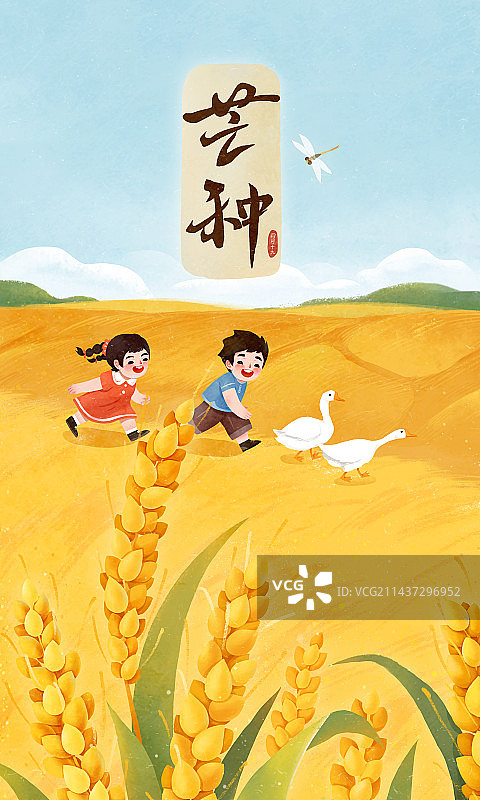 芒种节气插画成熟的麦穗和追赶大鹅的小孩图片素材