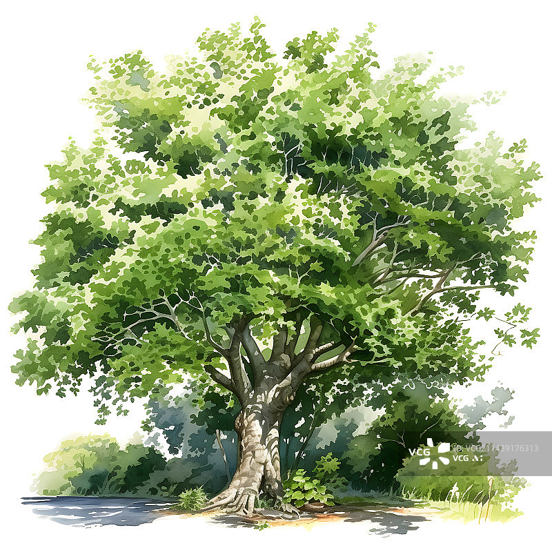 【AI数字艺术】夏天的插画水彩大树大暑乘凉图片素材