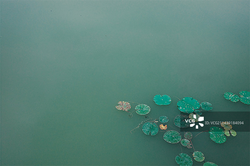 池塘静谧图片素材