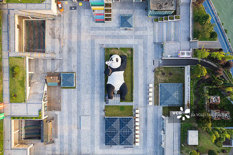 成都都江堰市仰天窝广场水文化广场自拍的大熊猫雕像清晨航拍图片素材