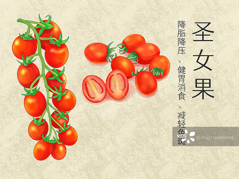 手绘水彩水果圣女果小蕃茄插画图片素材