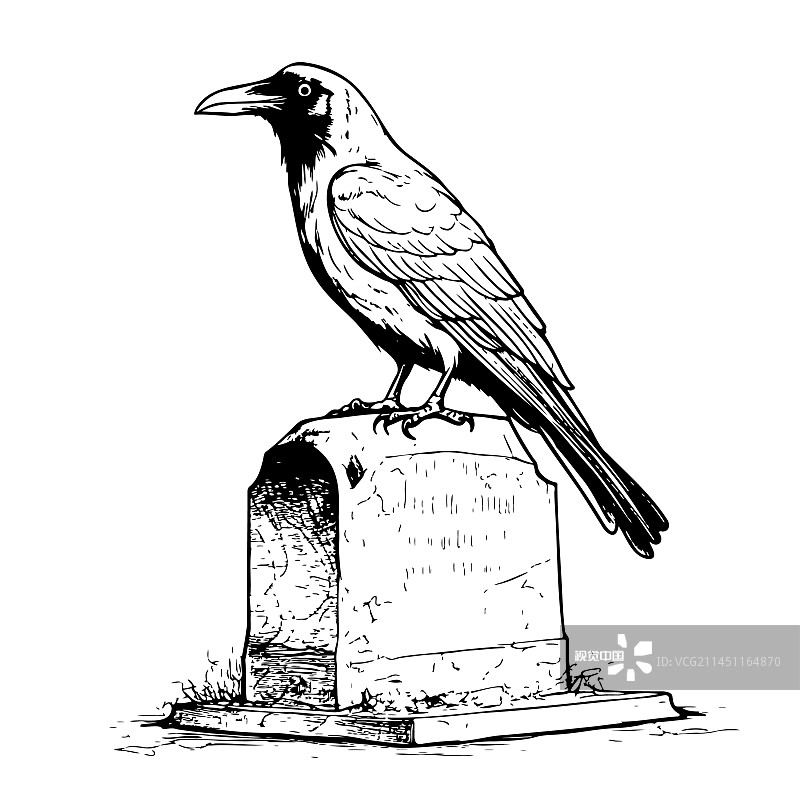 乌鸦坐在坟墓上手绘素描图片素材