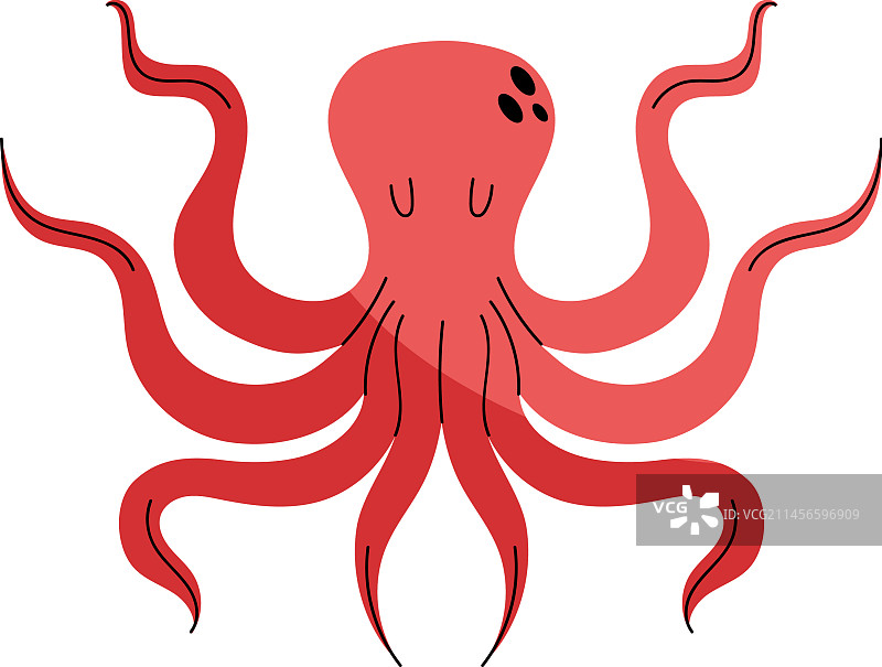 红色的章鱼图片素材