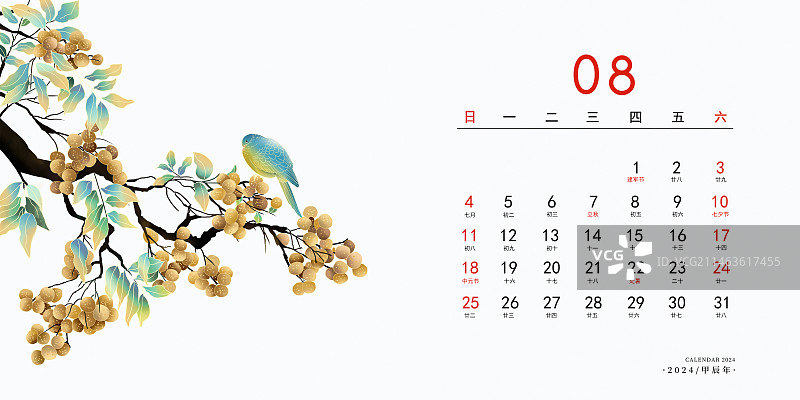 2024中国风应季蔬菜水果植物日历插画 台历海报模版 八月-龙眼树上挂满了龙眼图片素材