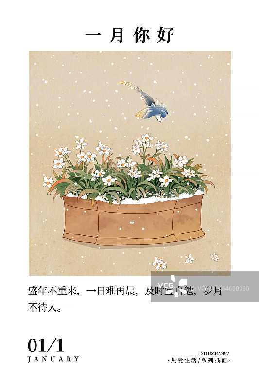 2024中国风应季蔬菜水果风景日历插画 台历海报模版 一月-盆中水仙花与喜鹊图片素材