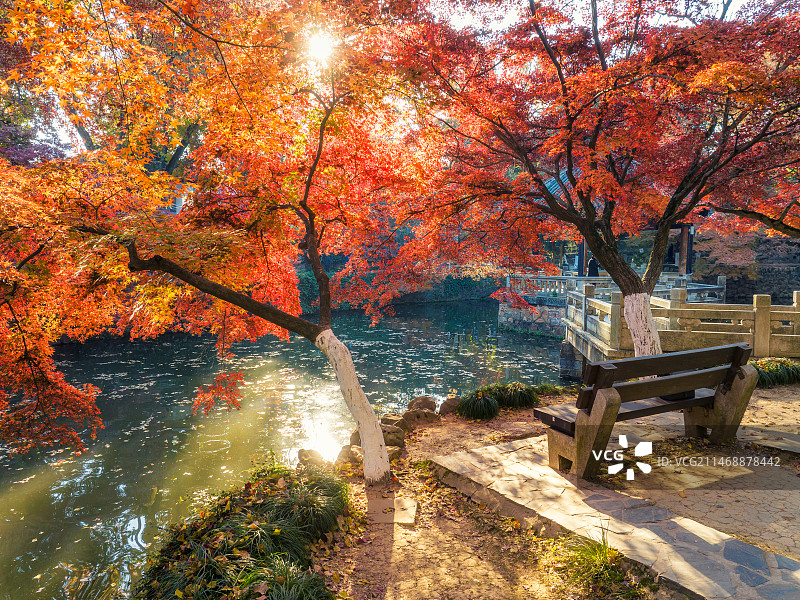 秋天的苏州常熟虞山枫叶正红图片素材
