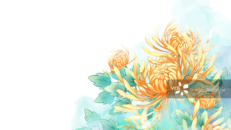 菊花，唯美清新水彩花卉系列插画图片素材