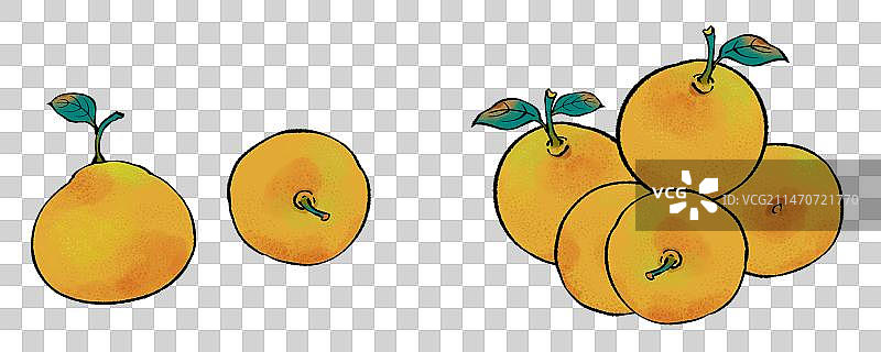 国风水果元素-橙子，橘子，桔子，柑橘图片素材