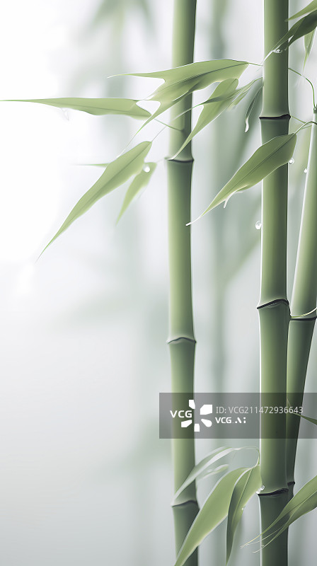 【AI数字艺术】数码柔和清透竹子竹林植物抽象海报手机端背景图片素材