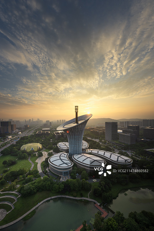 中国湖北武汉光谷未来科技城马蹄莲图片素材