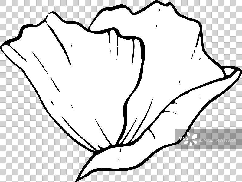 简单的黑白海葵线花图片素材