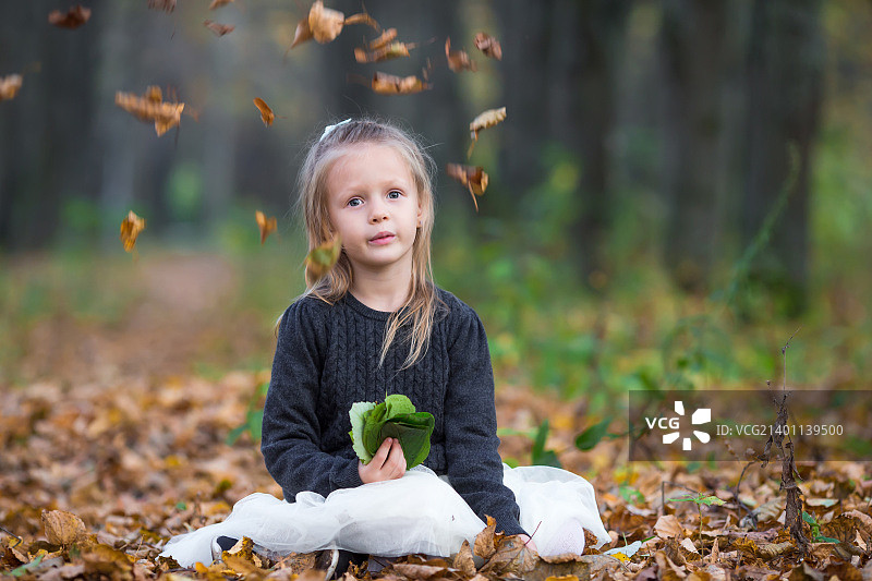可爱的小女孩在美丽的秋日户外图片素材