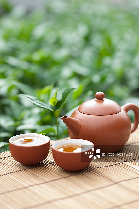 茶,中国茶图片素材