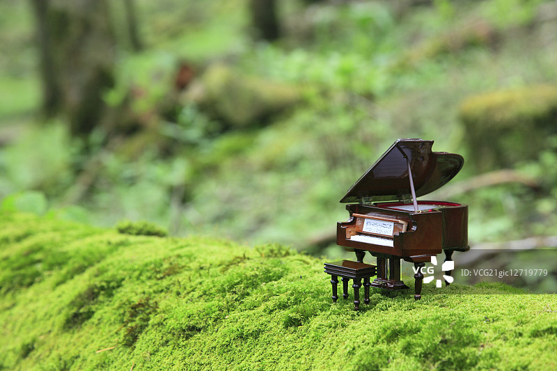 大自然中的微型钢琴图片素材