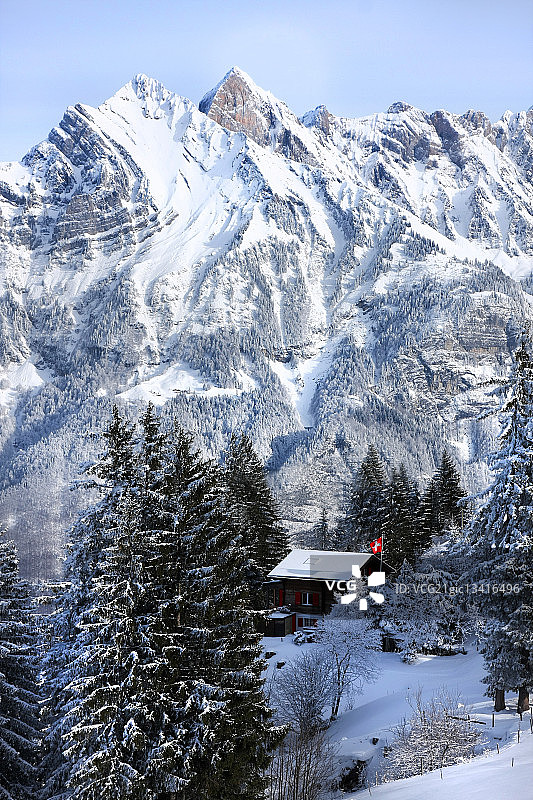 瑞士小屋被雪山和树木环绕。图片素材