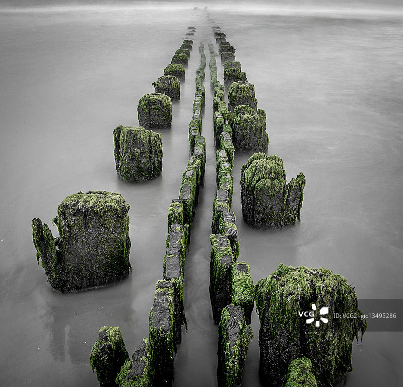 美国新泽西州大西洋城，薄雾中的码头废墟上覆盖着苔藓图片素材