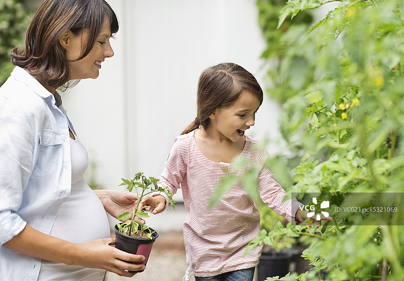 怀孕的母亲和女儿一起园艺图片素材