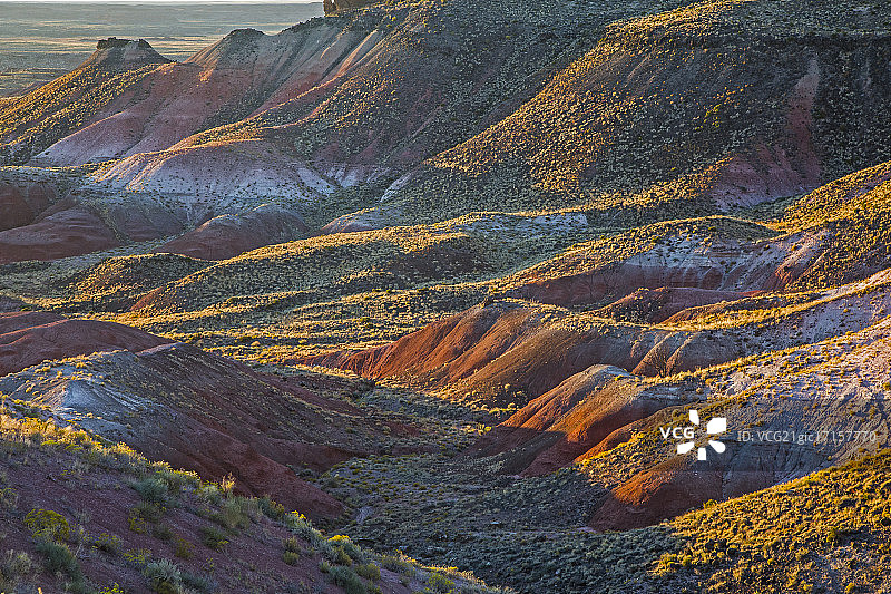 油漆沙漠石化森林国家公园，美国亚利桑那州图片素材