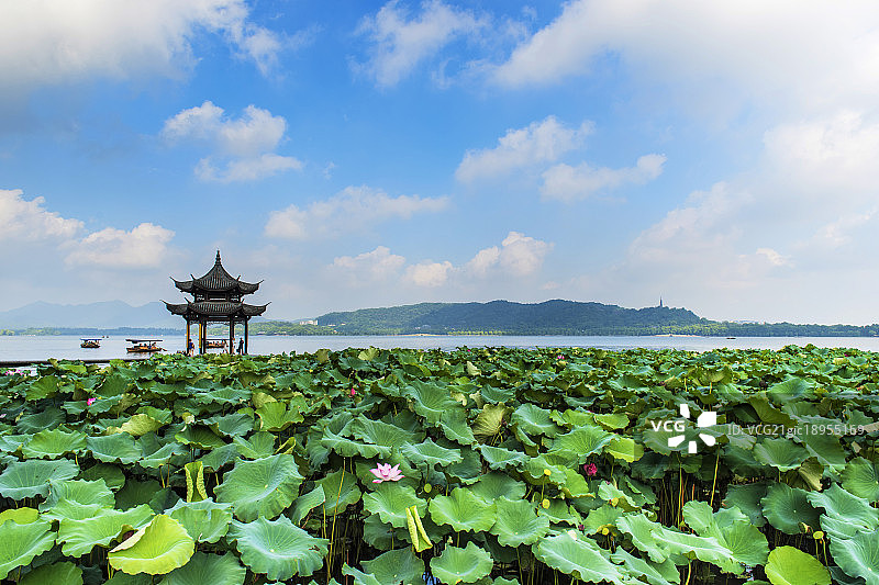 杭州西湖图片素材