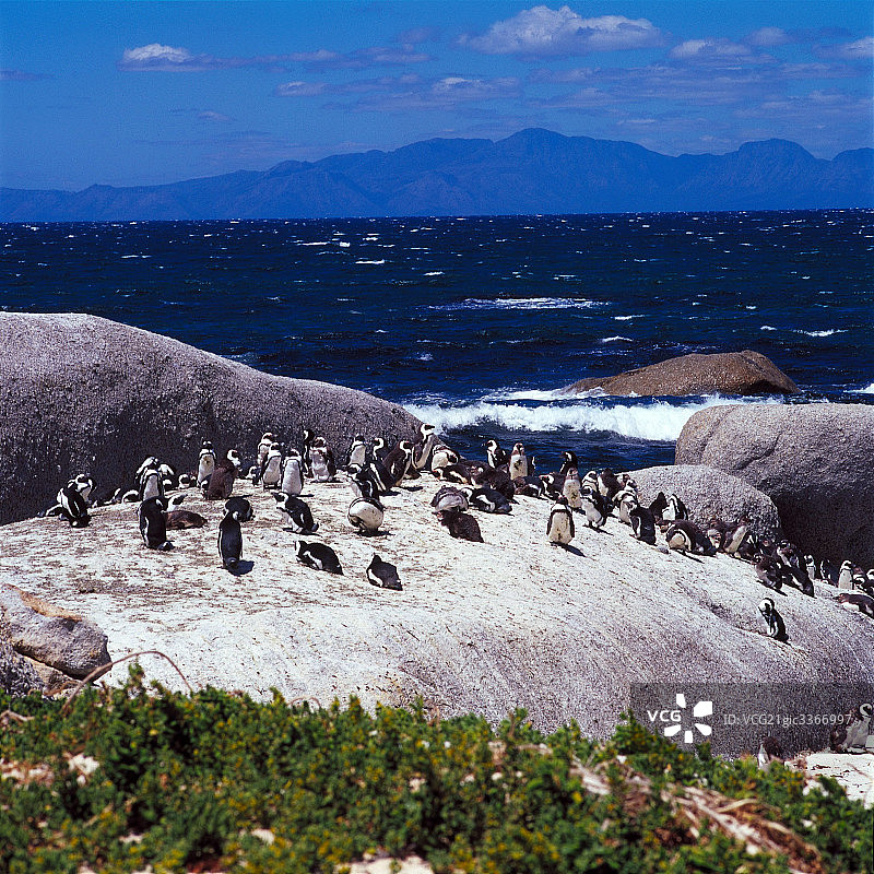 南非海景图片素材