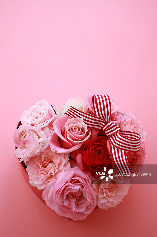粉色和红色玫瑰在礼品盒图片素材