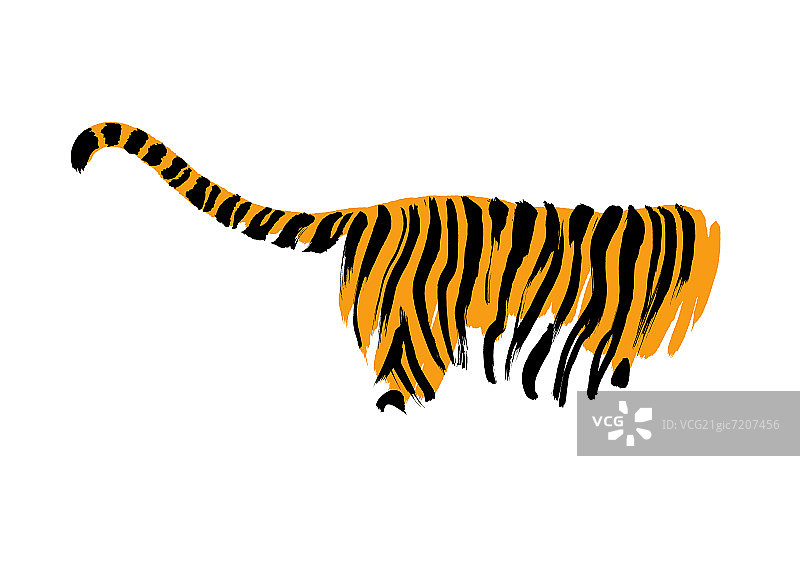 侧面的老虎的尾巴和后部分图片素材