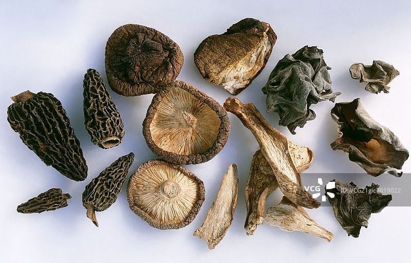 干蘑菇:羊肚菌，冬虫夏草，耳胶，香菇图片素材