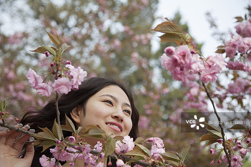 在春天的公园里，美丽的粉红色花朵旁画着微笑而安详的年轻女子图片素材