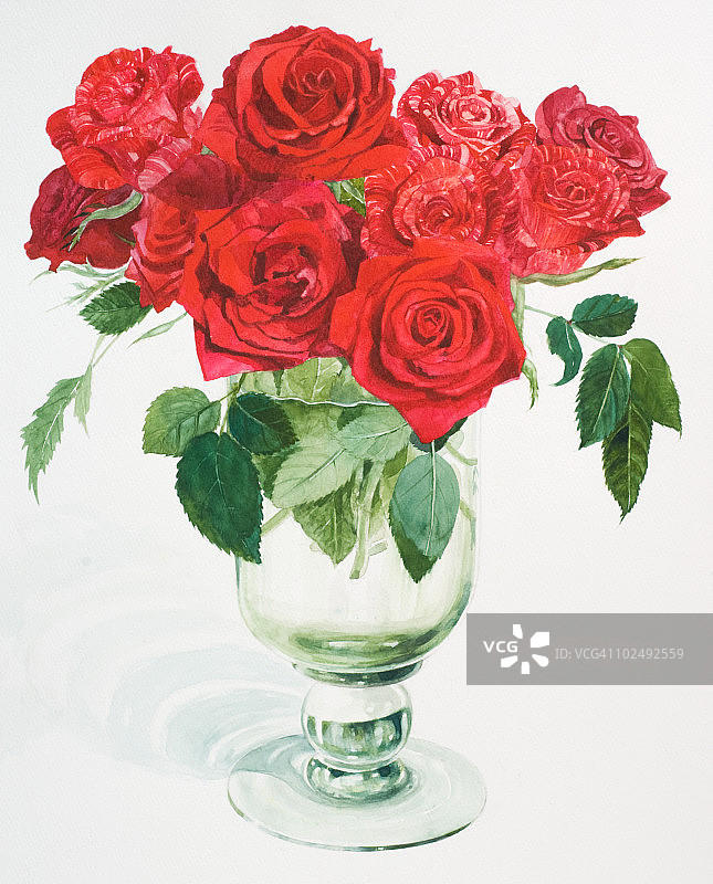一幅花瓶里红玫瑰的水彩画图片素材