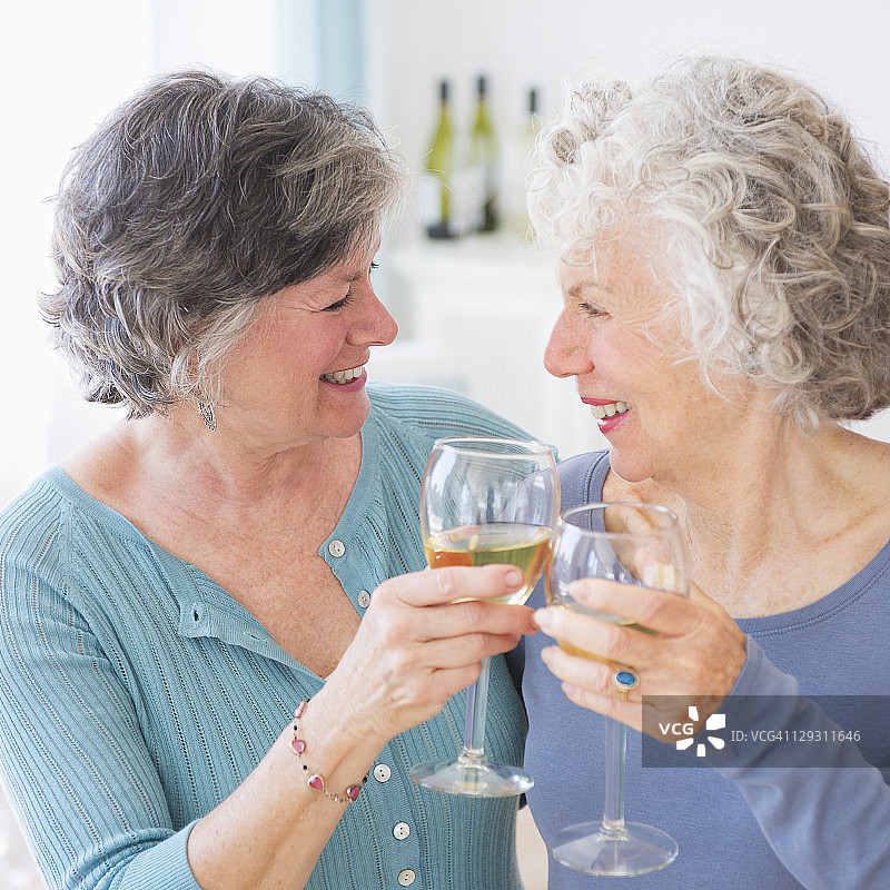 美国，新泽西州，泽西城，两个年长的女人拿着酒杯图片素材