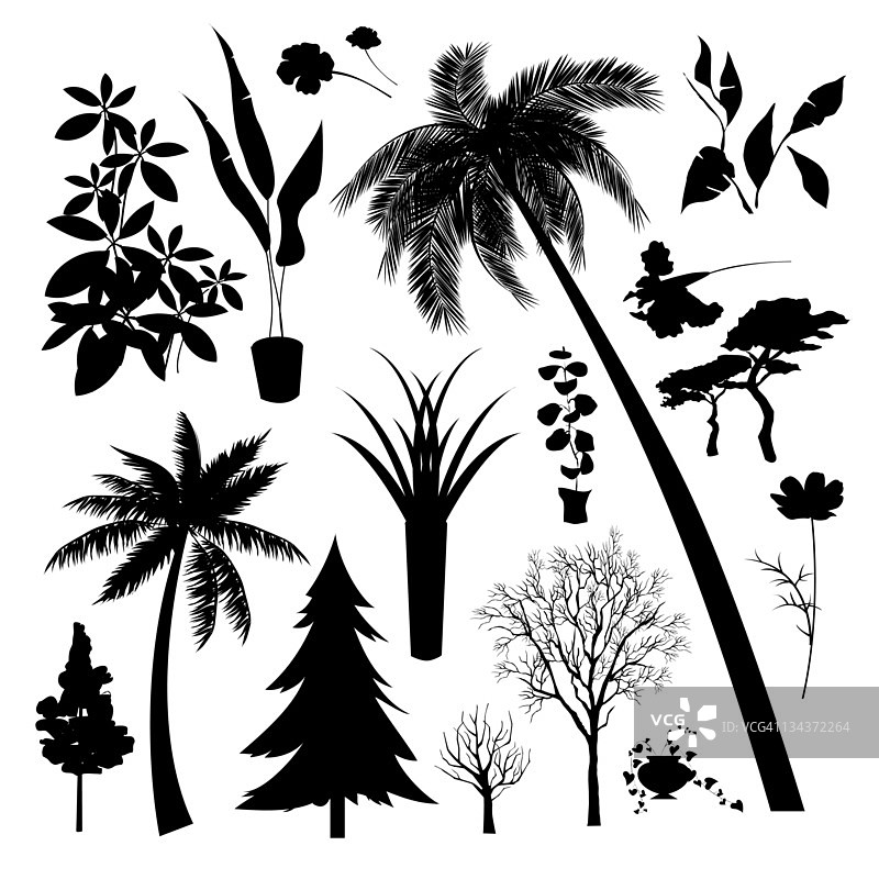 不同类型的树木和植物的剪影图片素材