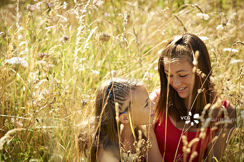 女孩们在高高的草丛中交谈图片素材