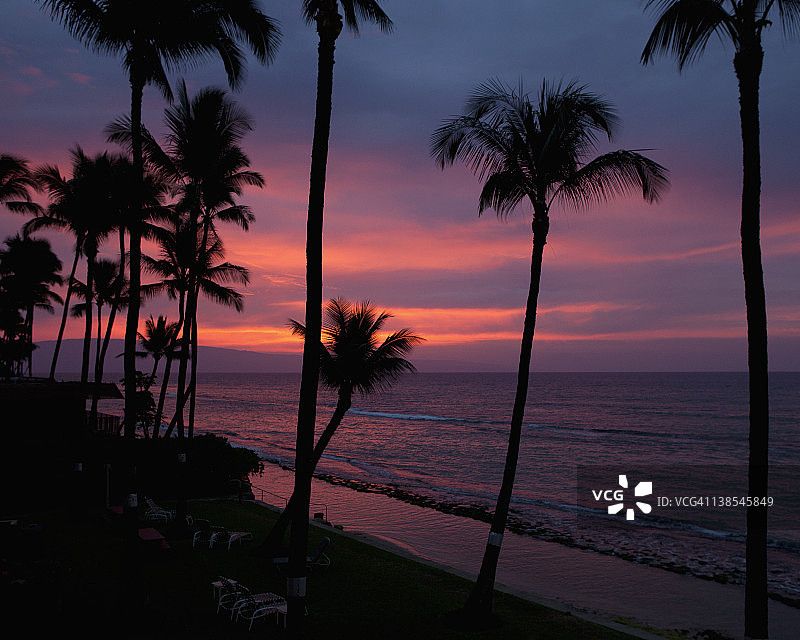 黄昏和夏威夷毛伊岛海滩上棕榈树的剪影图片素材