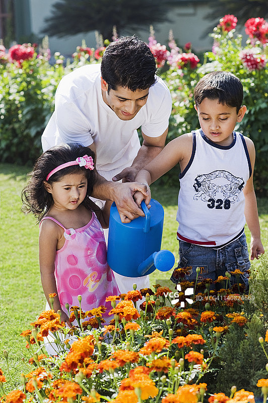 印度哈里亚纳邦古尔冈，一名男子和他的孩子们在给植物浇水图片素材