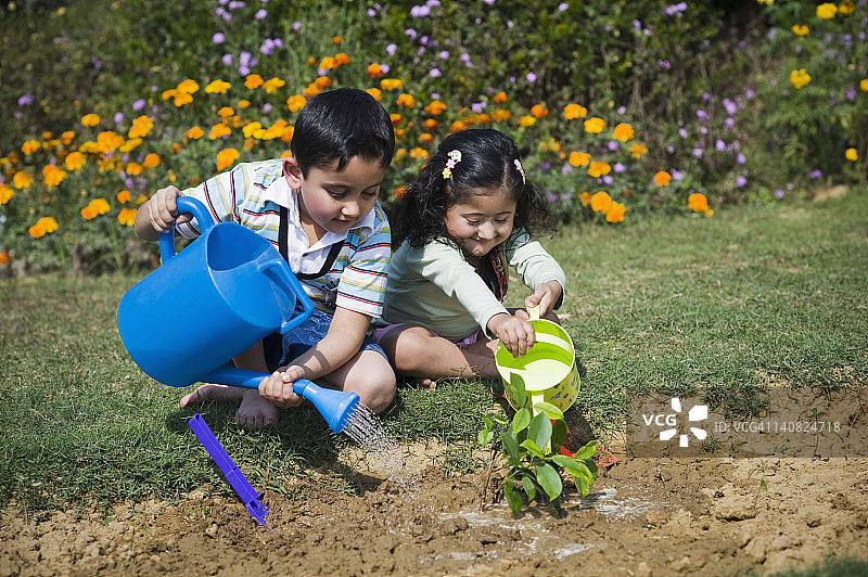 印度哈里亚纳邦古尔冈，男孩和他的妹妹在给草坪上的植物浇水图片素材