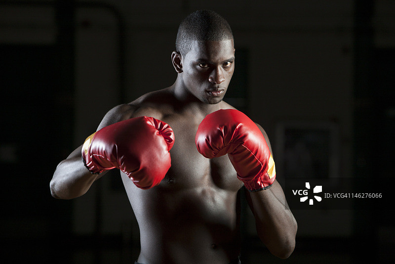 拳击手戴拳击手套在战斗姿态，肖像图片素材
