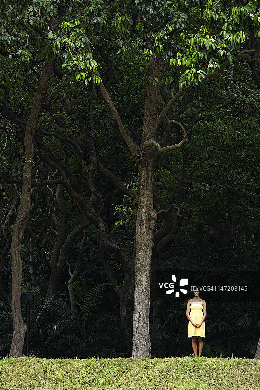 穿黄衣服的女人站在树下。图片素材