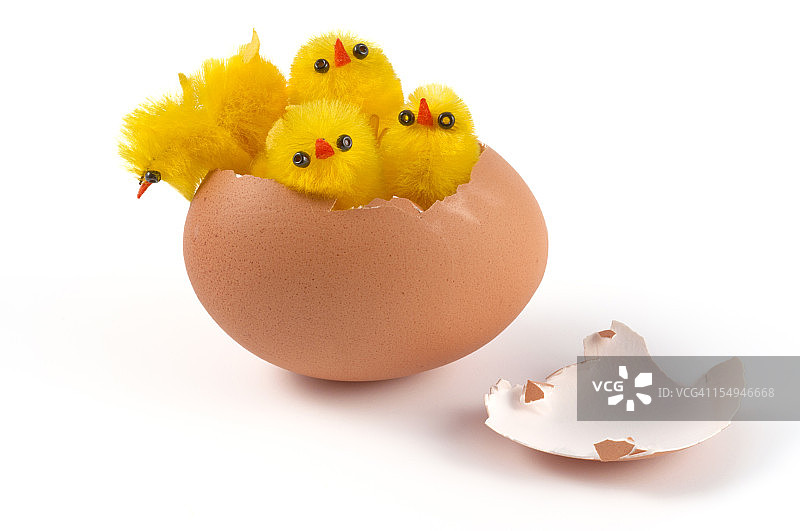 小鸡从复活节蛋里探出头来图片素材