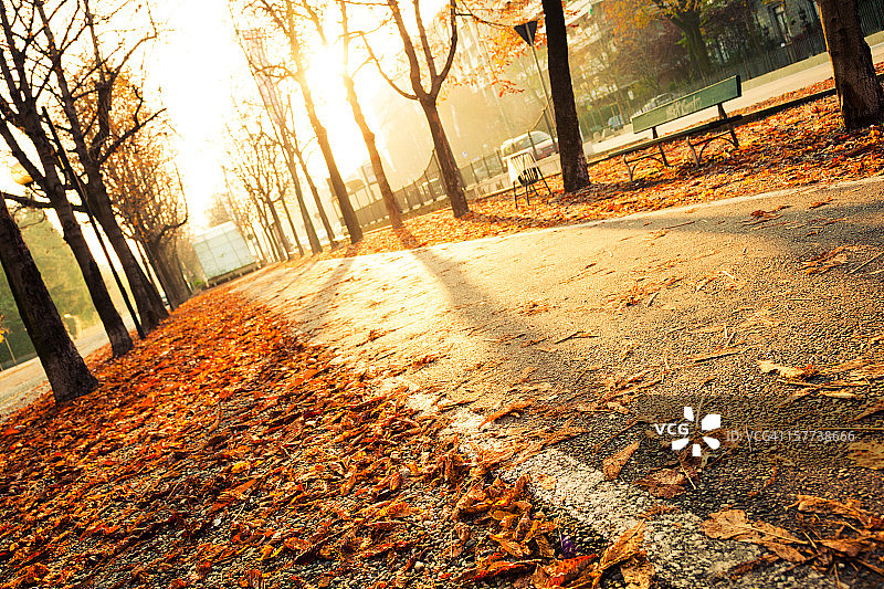 秋天的早晨，空荡荡的人行道图片素材